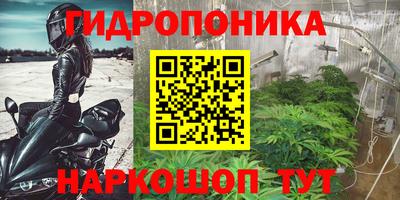 наркотики Малгобек