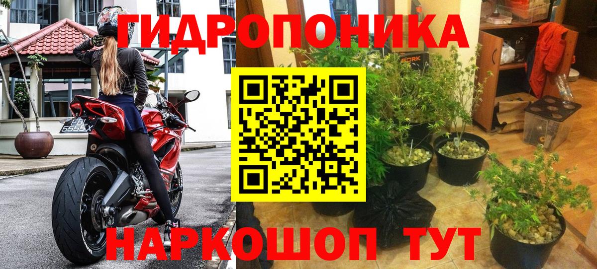 Канабис тримм  Шишки марихуана Ganja  Вход с VPN  Дивногорск  МАРИХУАНА OG Kush 